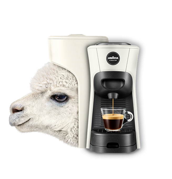LAVAZZA | A MODO MIO - TINY ECO | BIANCA |